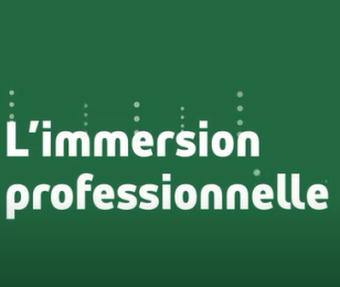immersion pro carre