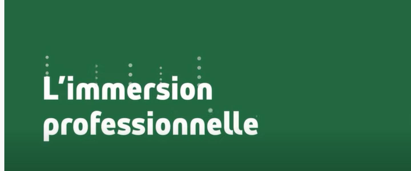 immersion professionnelle